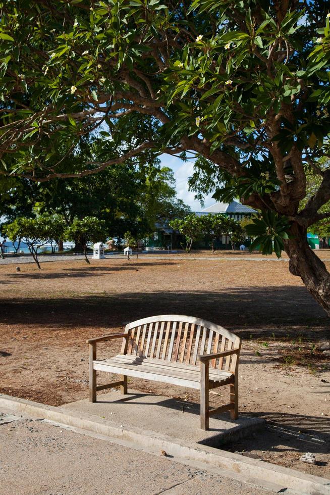 Bench in the park photo