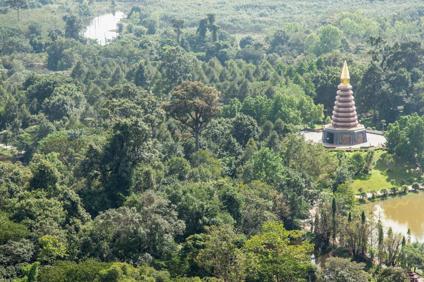 gran pagoda en medio de la jungla foto