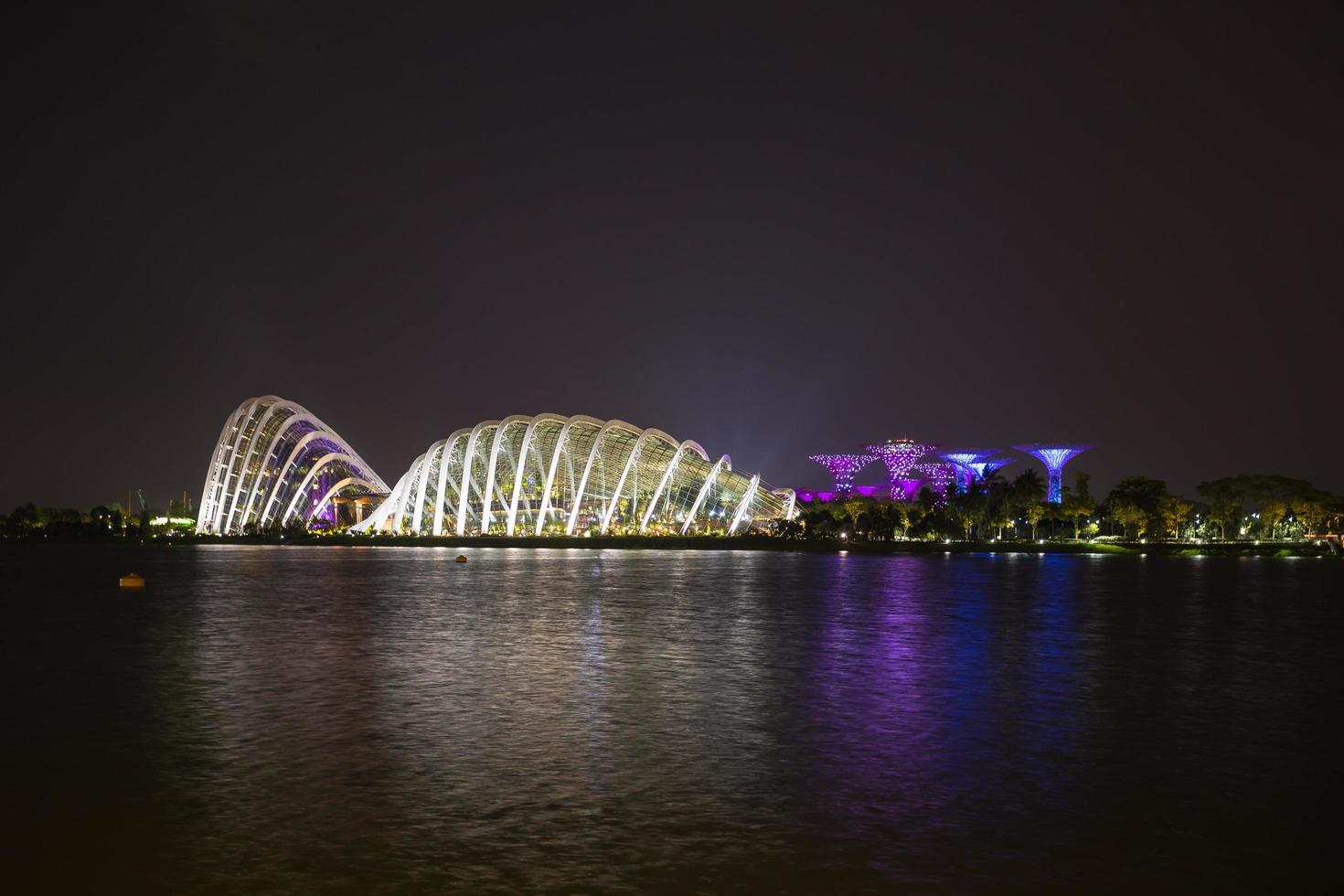 super árboles y edificios en singapur foto