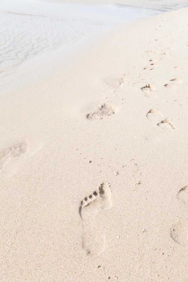 Footprints in the sand on the beach photo