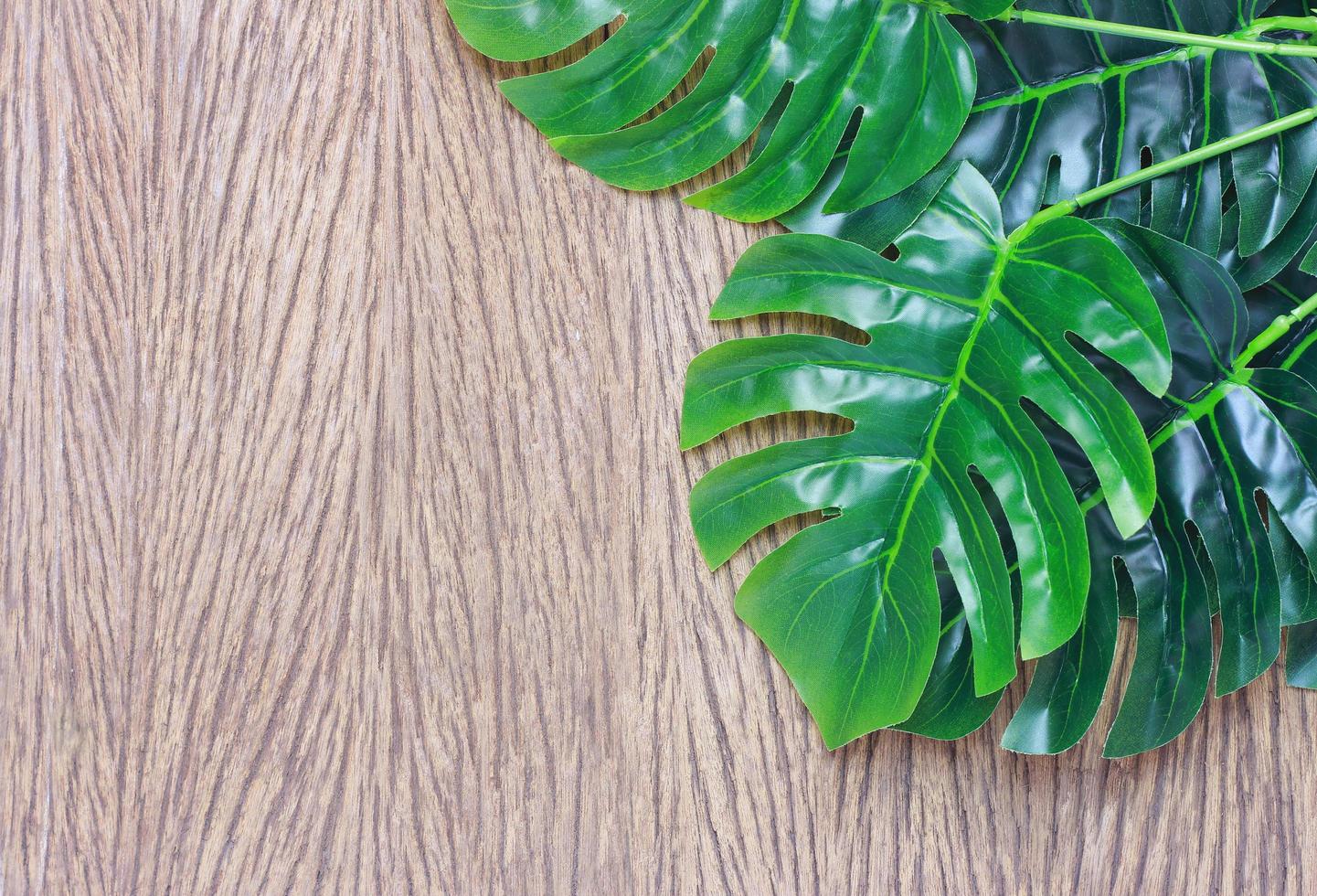 Tropical leaves wood photo