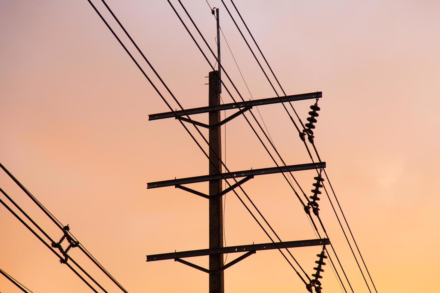 Electric poles and wires photo