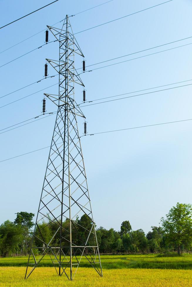 High voltage pylons in the rice field photo