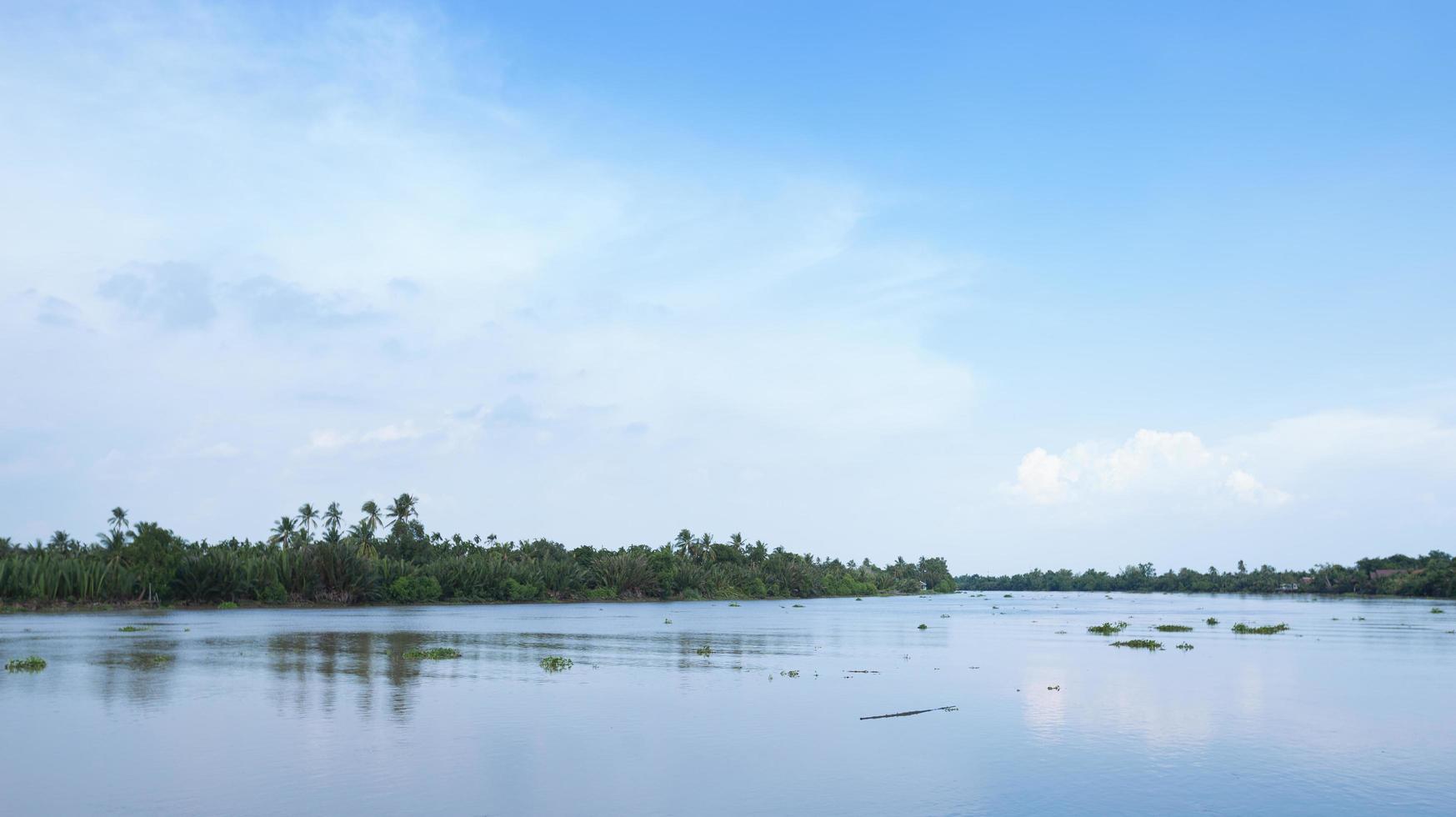 River and shore photo