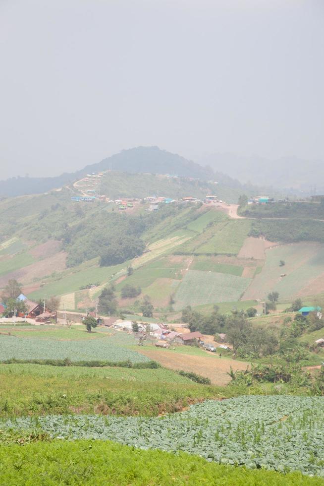 Farmland on the mountain in Thailand photo