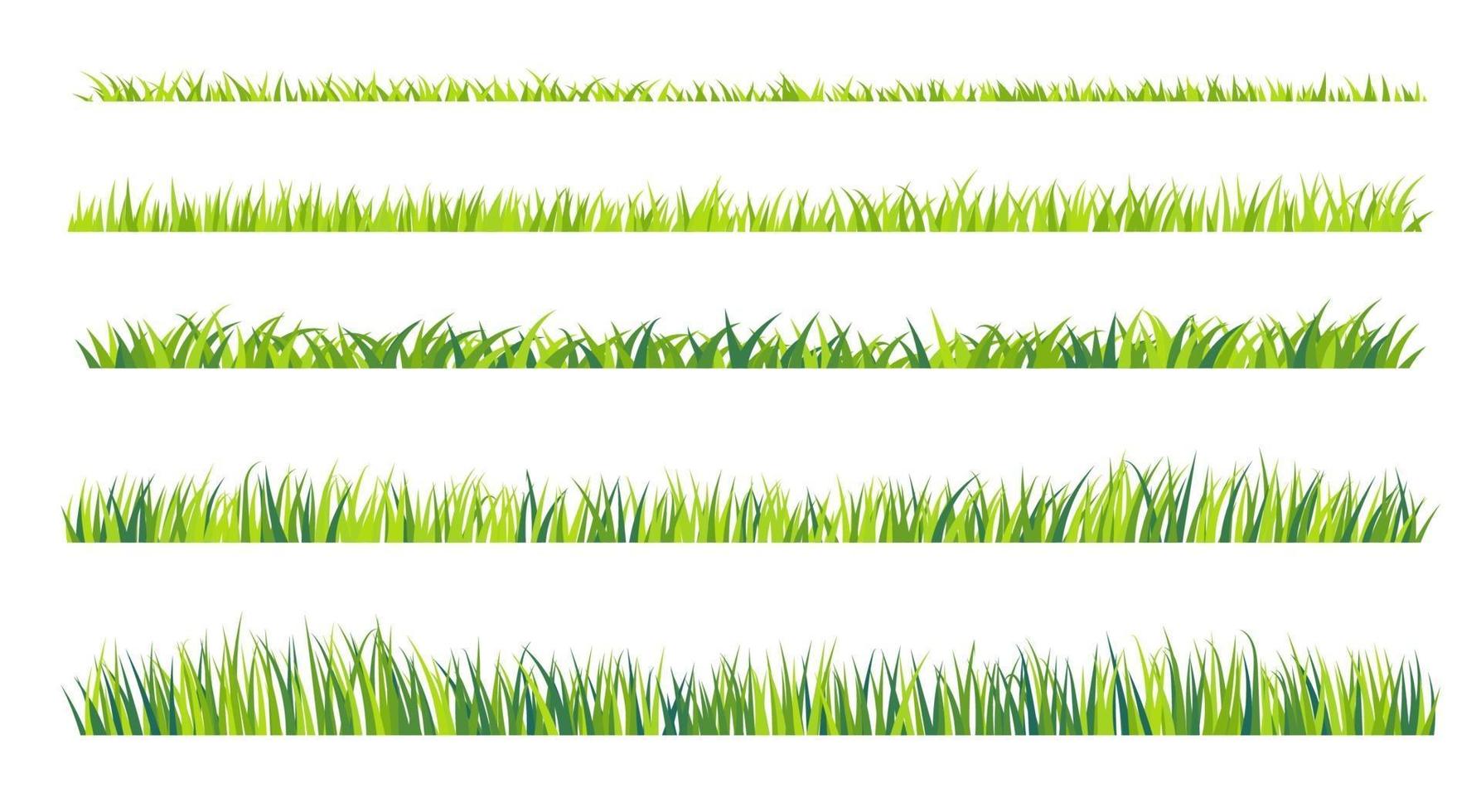 Grassland border vector pattern. Green lawn in spring. The concept of caring for the global ecosystem