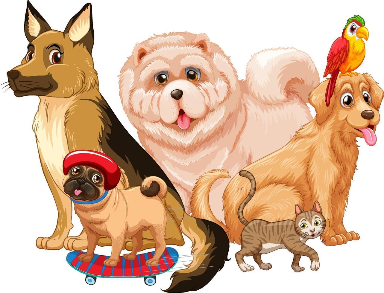 Group of pet on white background vector