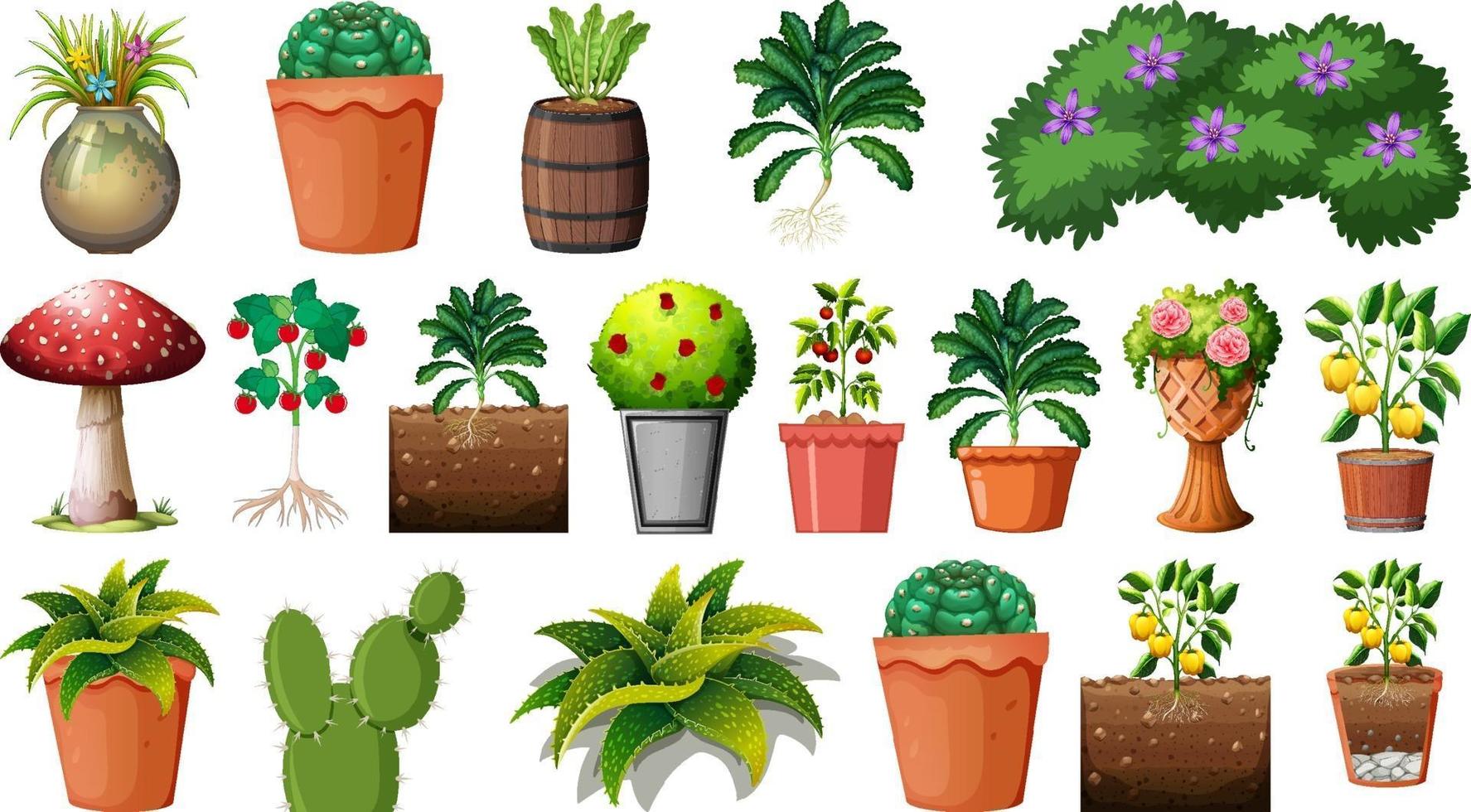 Conjunto de diferentes plantas en macetas aislado sobre fondo blanco. vector