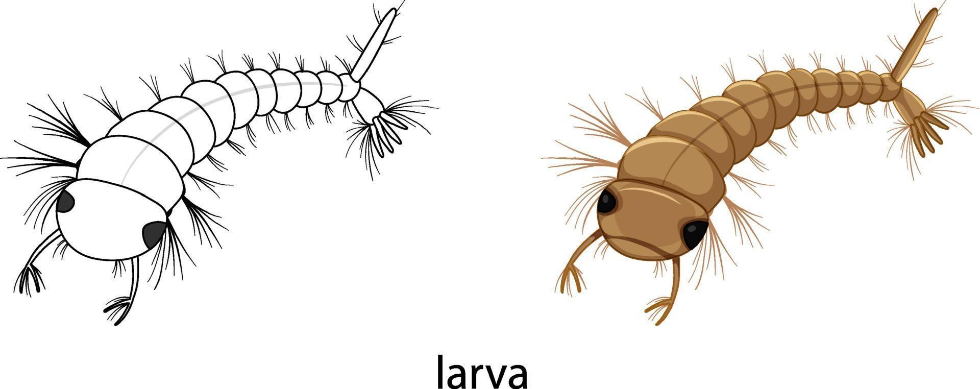 Mosquito larva in colour and doodle isolated vector