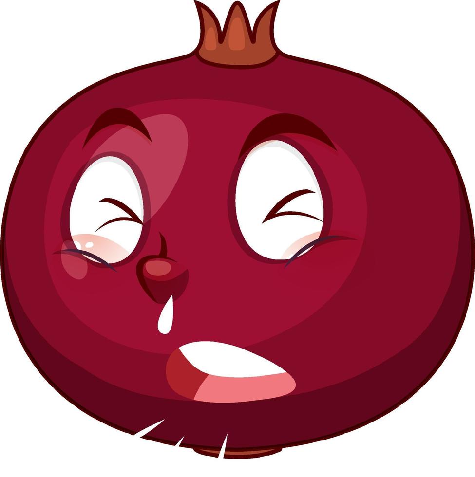 Pomegranate cartoon character with facial expression vector