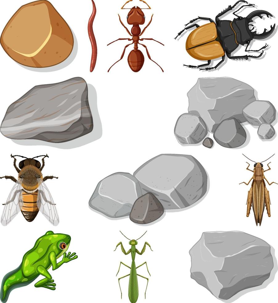Different types of insect with nature elements vector