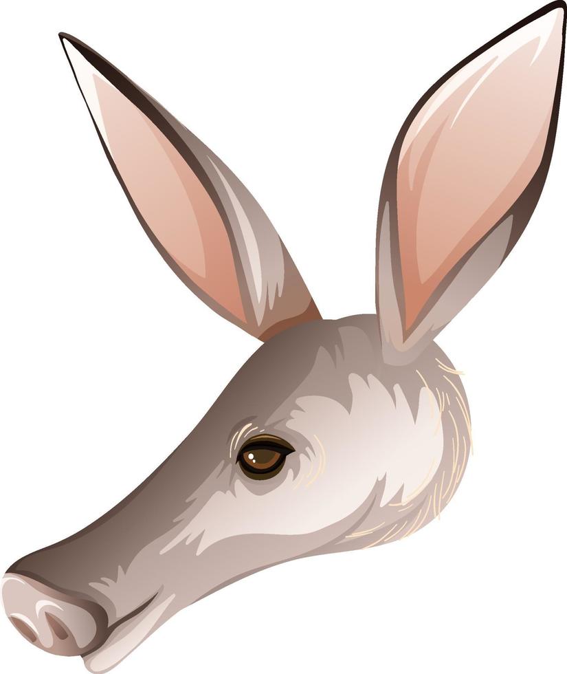 Aardvark África cabeza de animal nativo sobre fondo blanco. vector