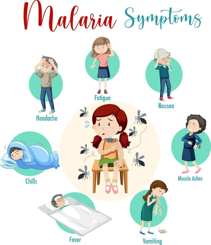 Malaria symptom information infographic vector