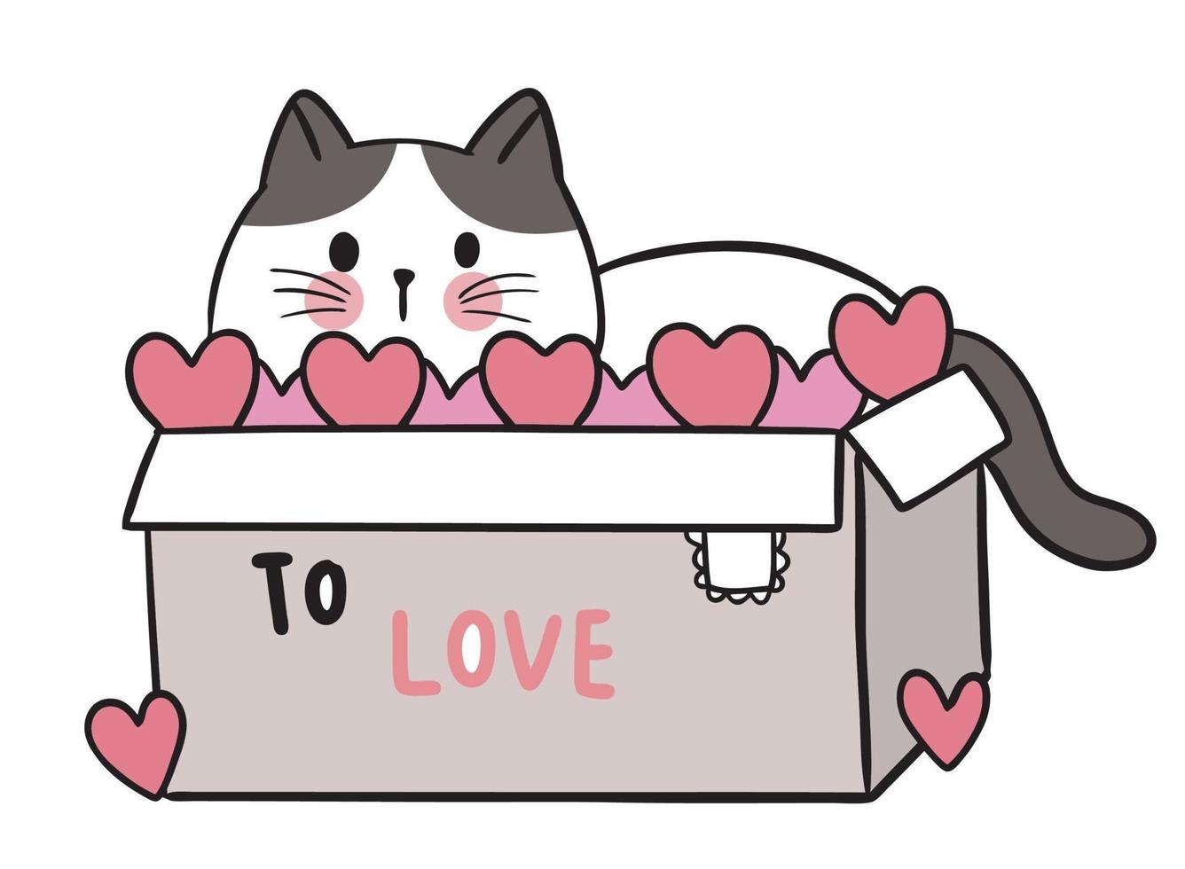 Dibujar a mano dibujos animados lindo día de San Valentín, gato en el vector de caja.