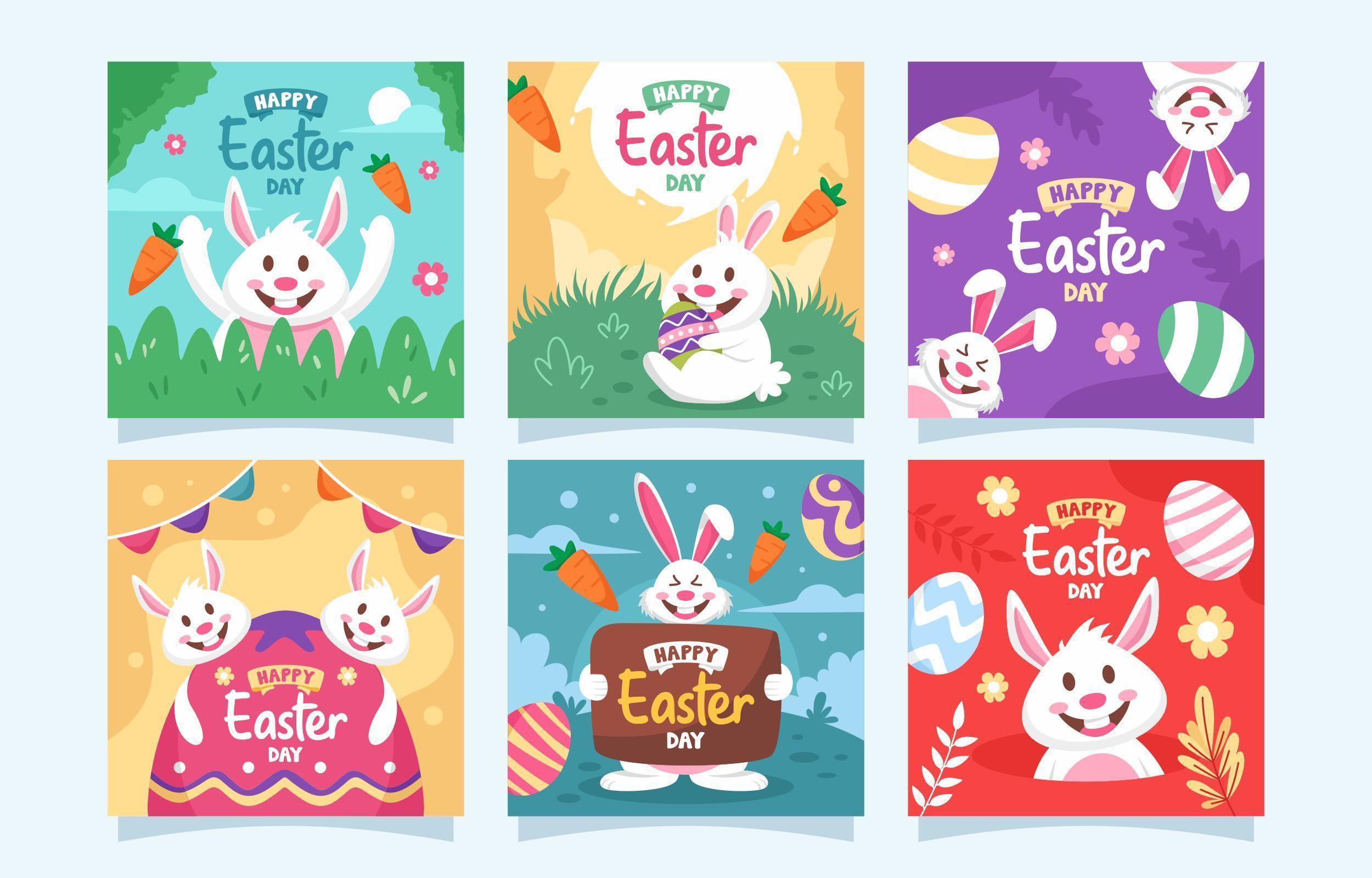 4.  Asian Bunny Video: A Social Media Phenomenon - fde3w80