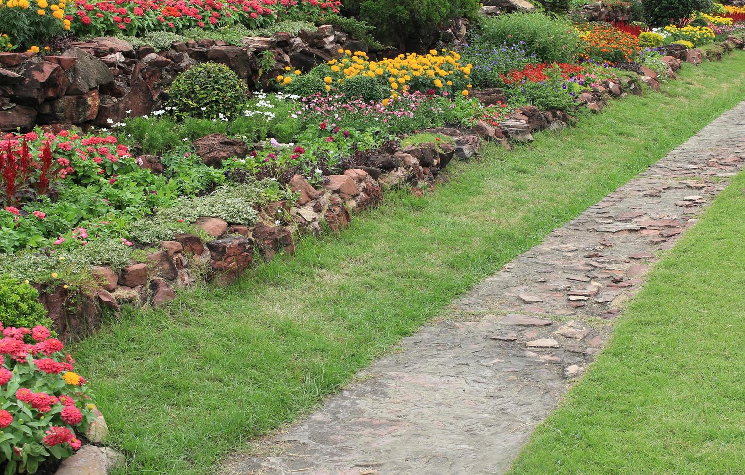 Walking path near flowers photo