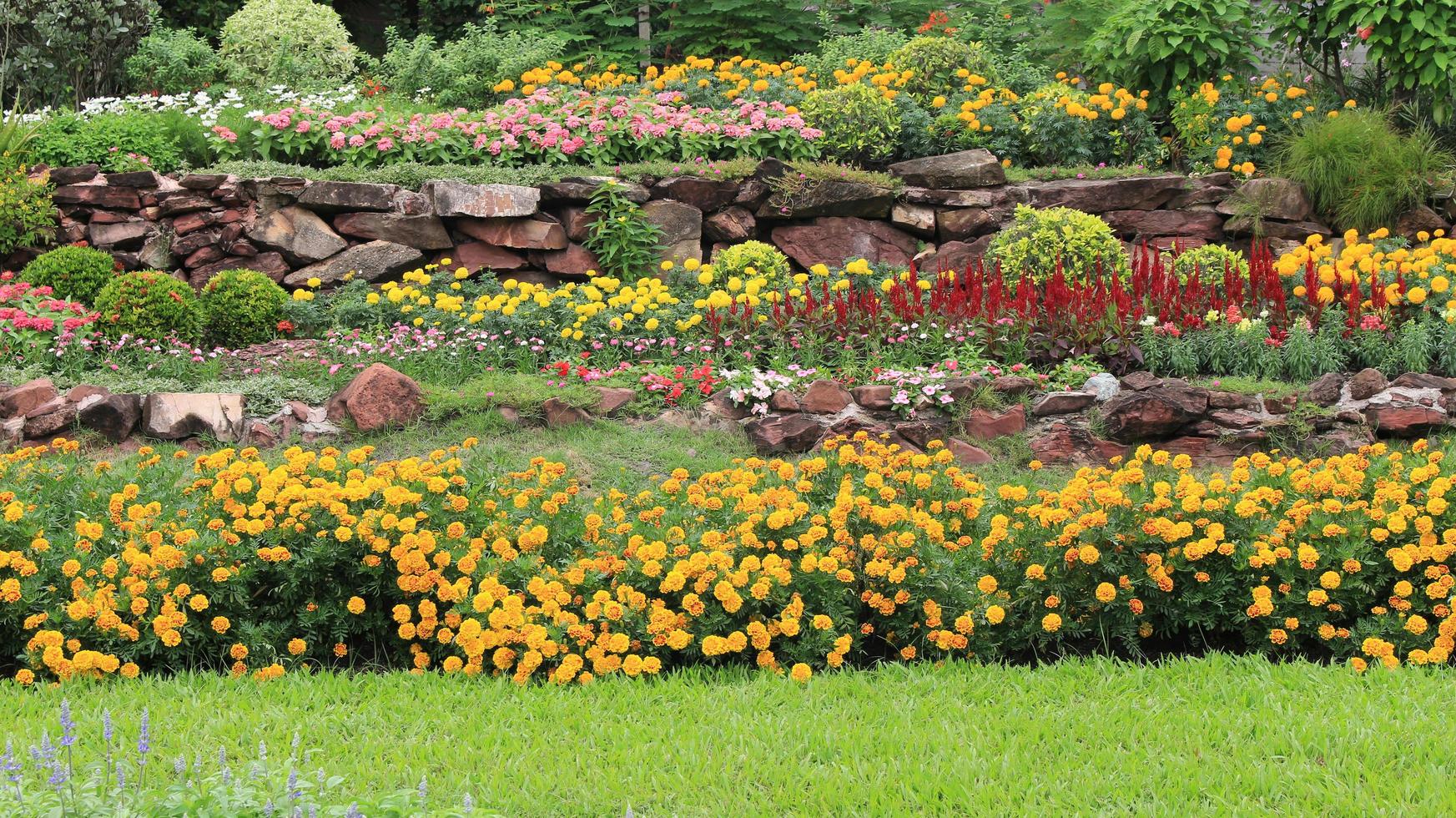 Macizos de flores de varias capas en el jardín foto