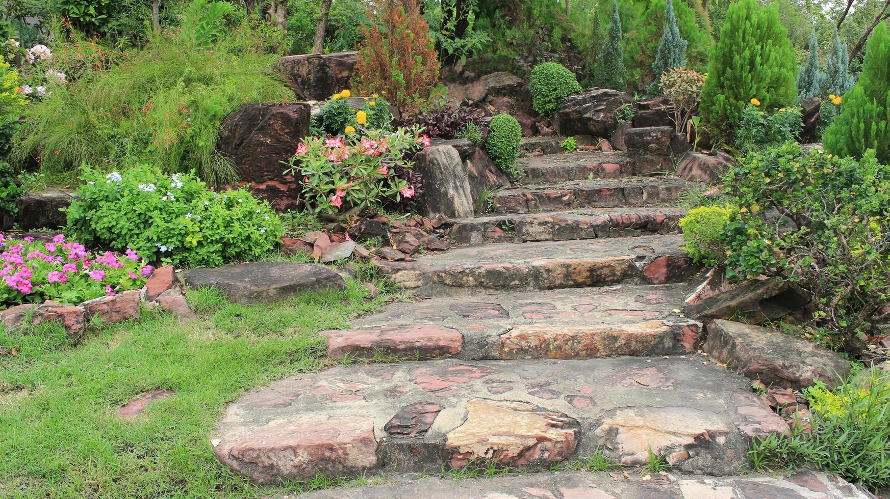 escaleras de piedra en un jardín foto