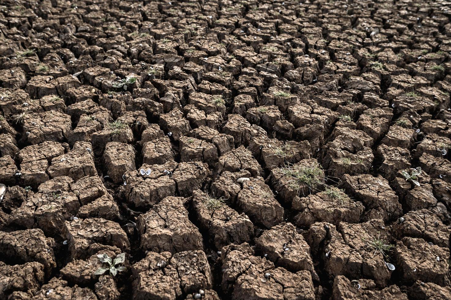 tierra árida con suelo seco y agrietado foto