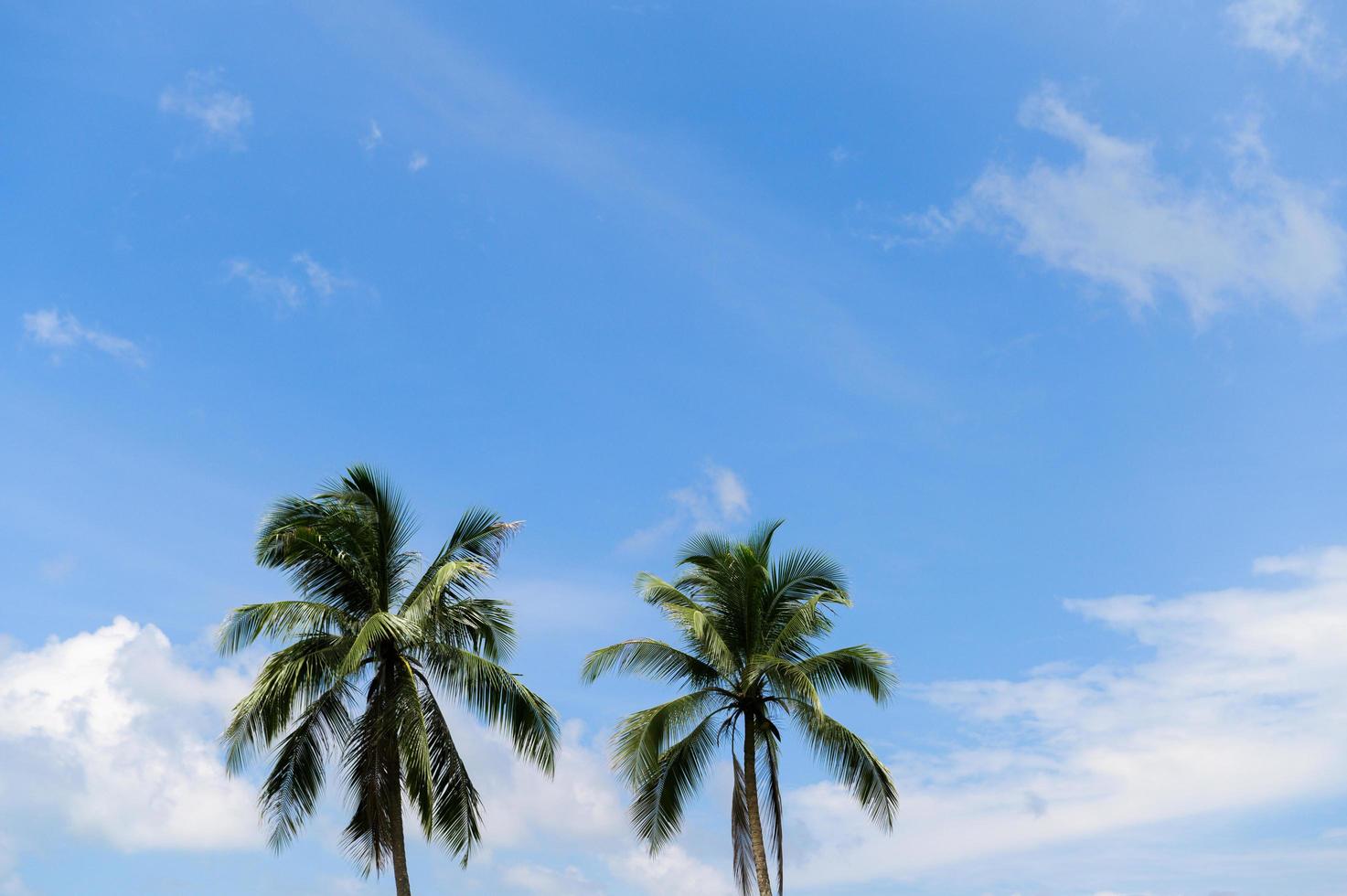 Summer beach in Thailand photo