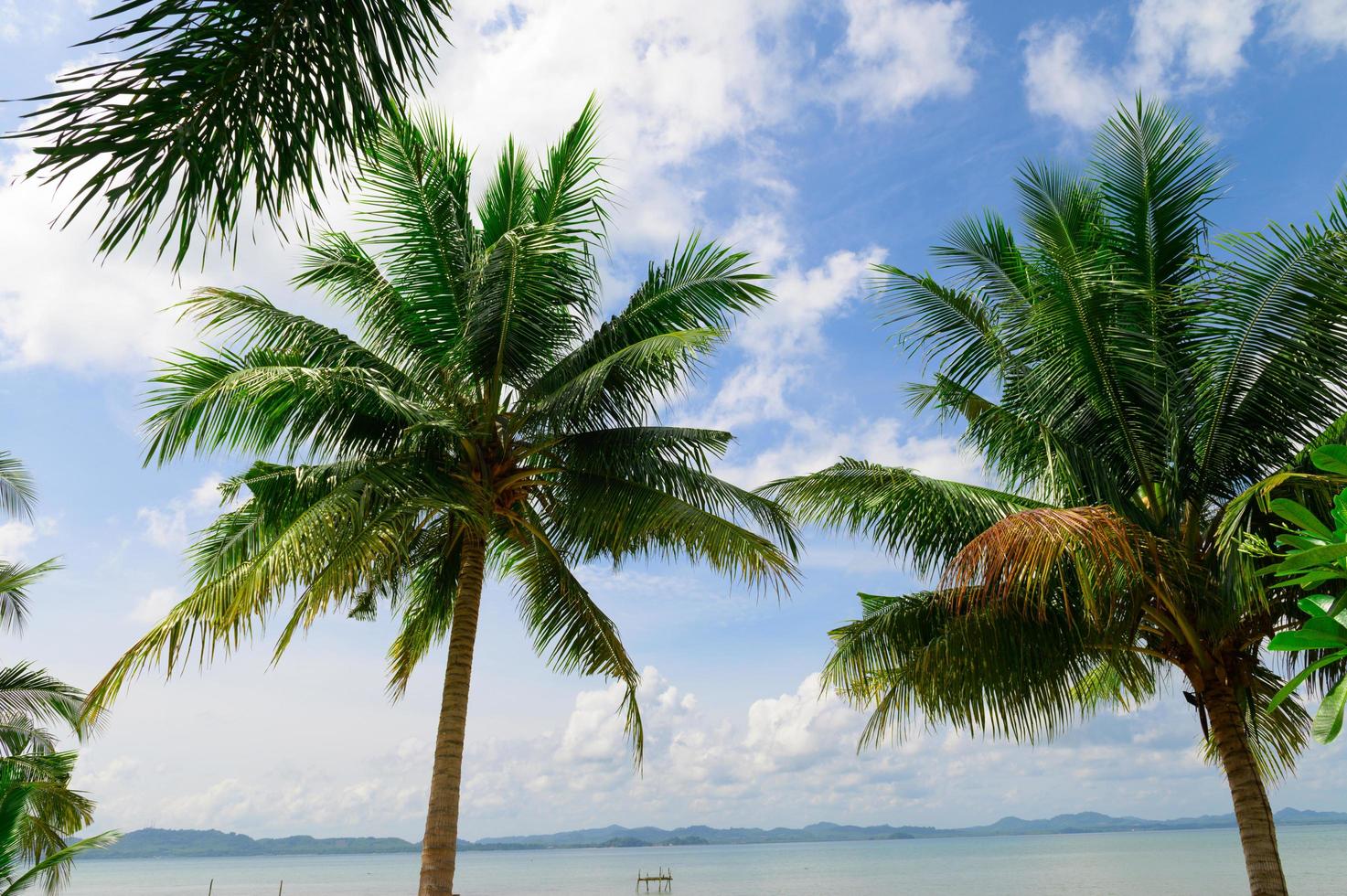 Summer beach in Thailand photo