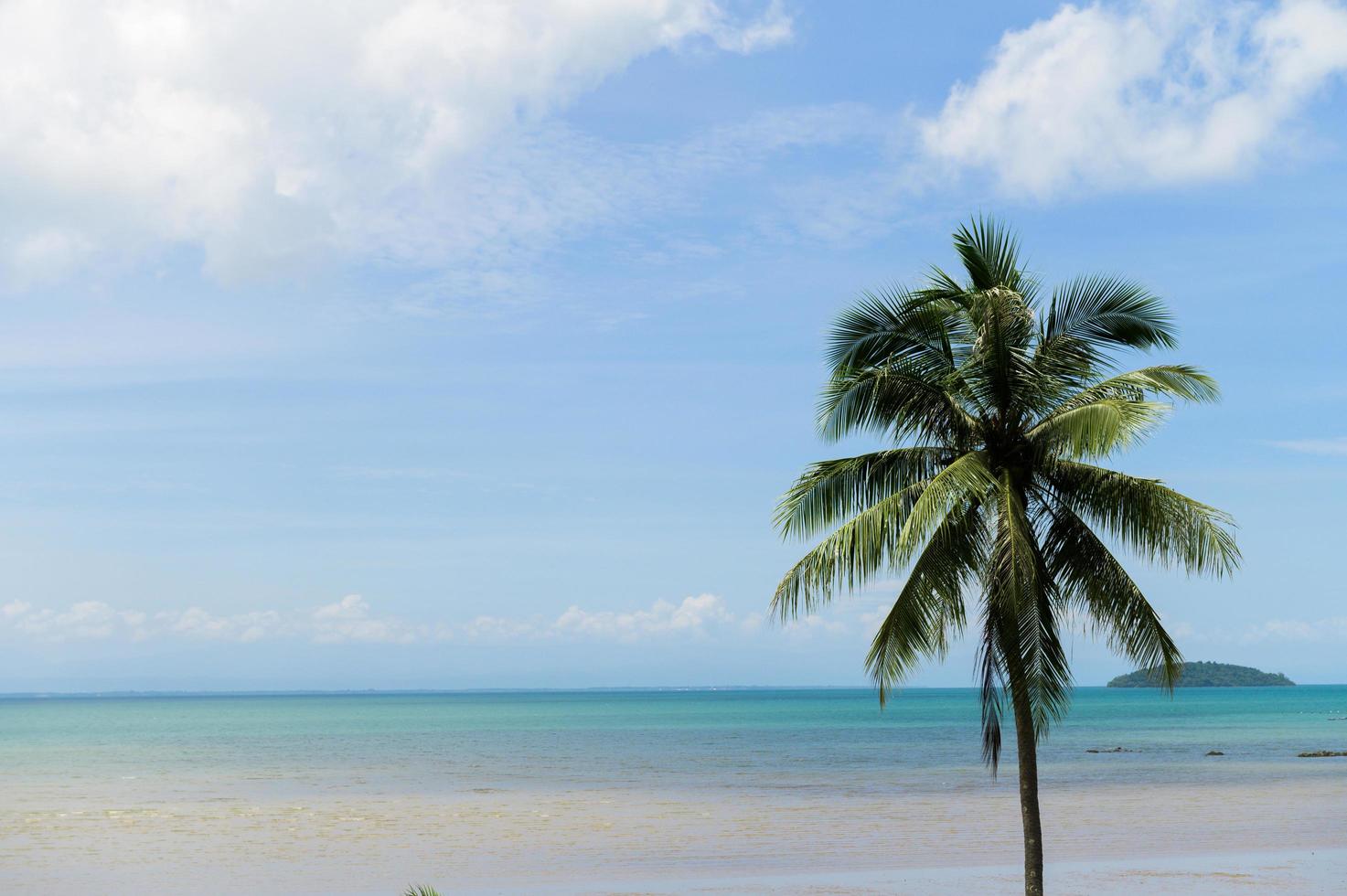 Summer beach in Thailand photo