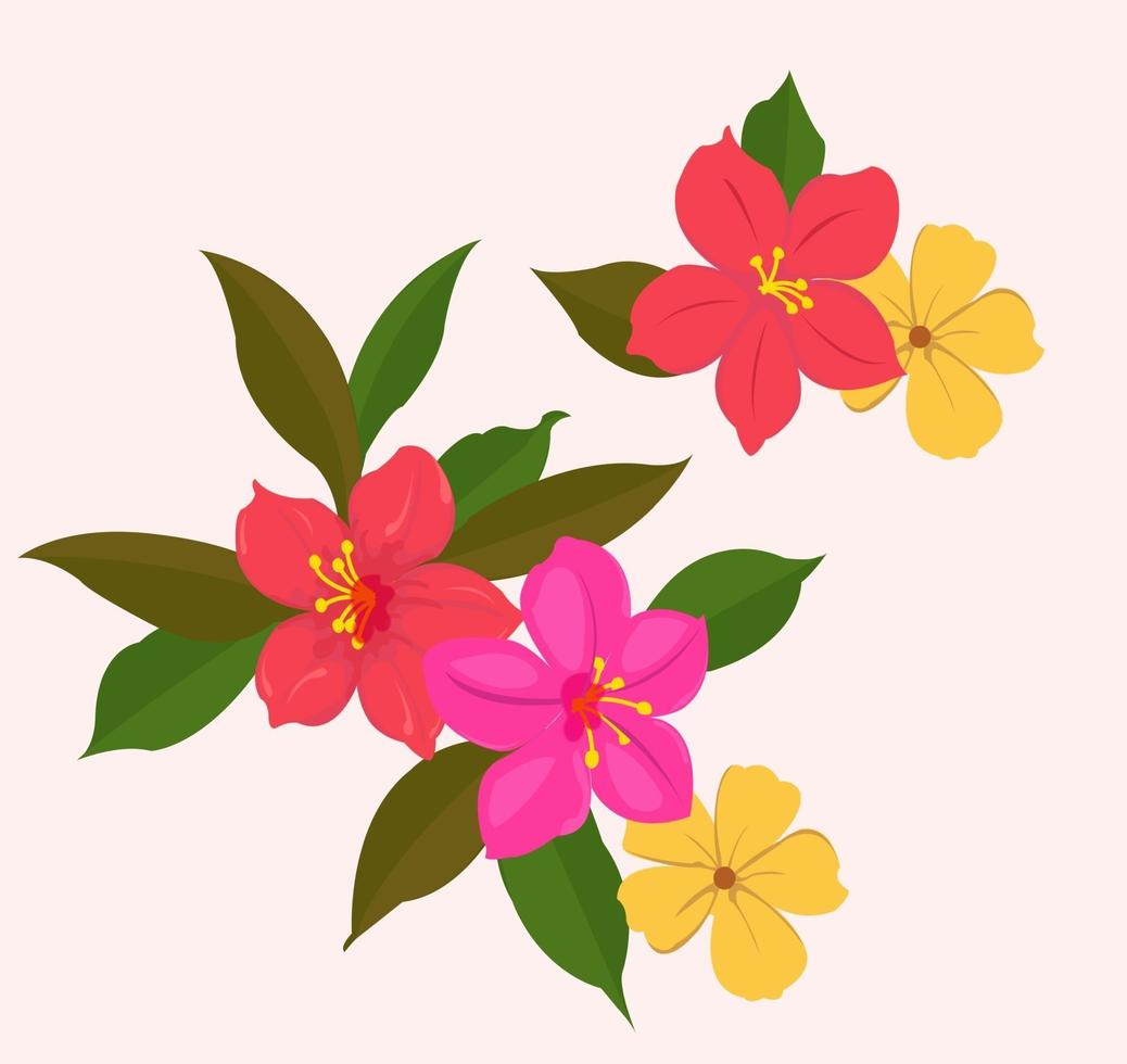 lindo conjunto de flores de colores vector