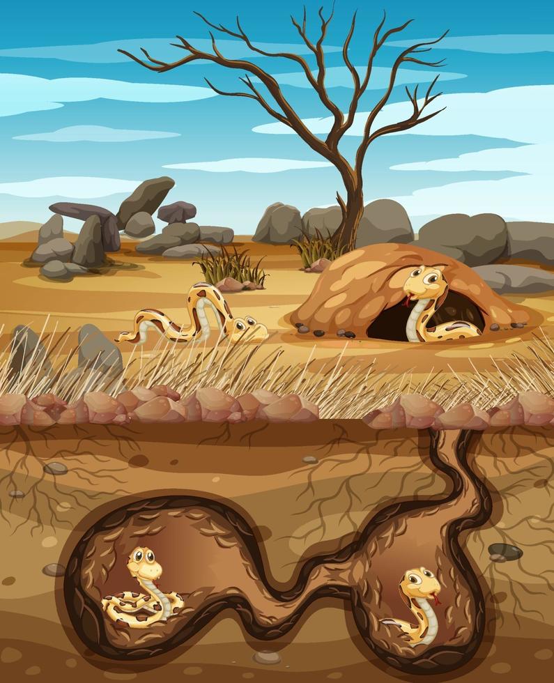 Underground animal hole with many snakes vector