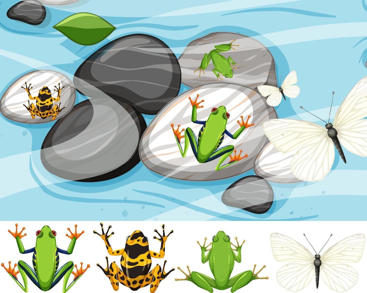 Top view of many exotic frog on the stones vector