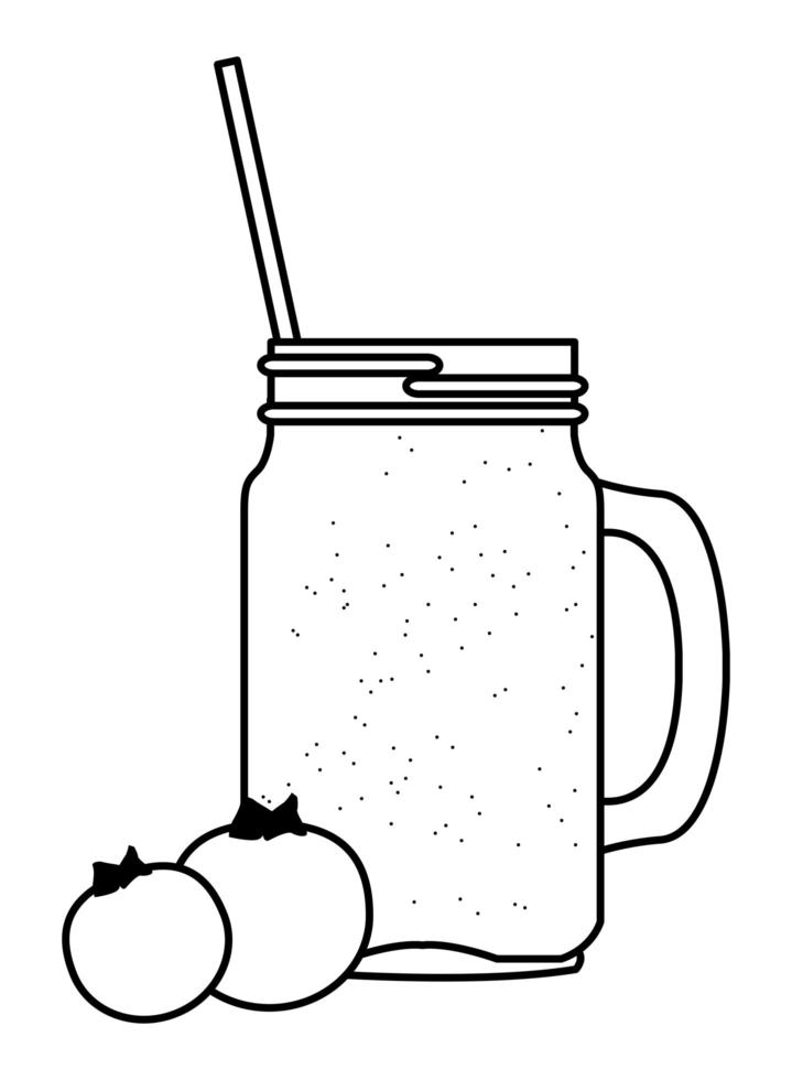 tropical fruit and smoothie drink in black and white vector