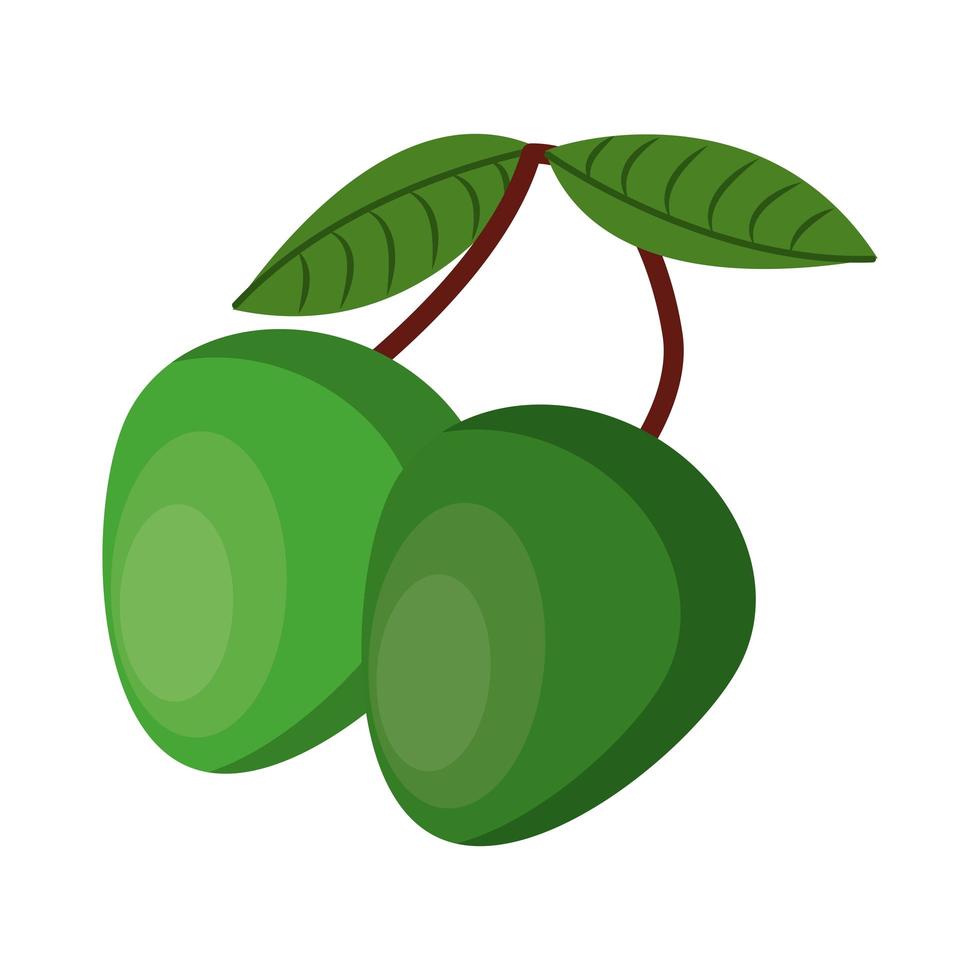 Mangos fresh fruit with leaves cartoon isolated vector