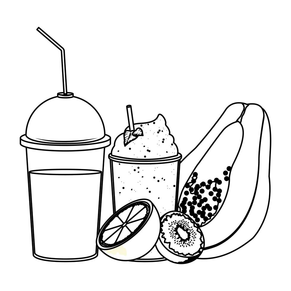 tropical fruit and smoothie drink in black and white vector