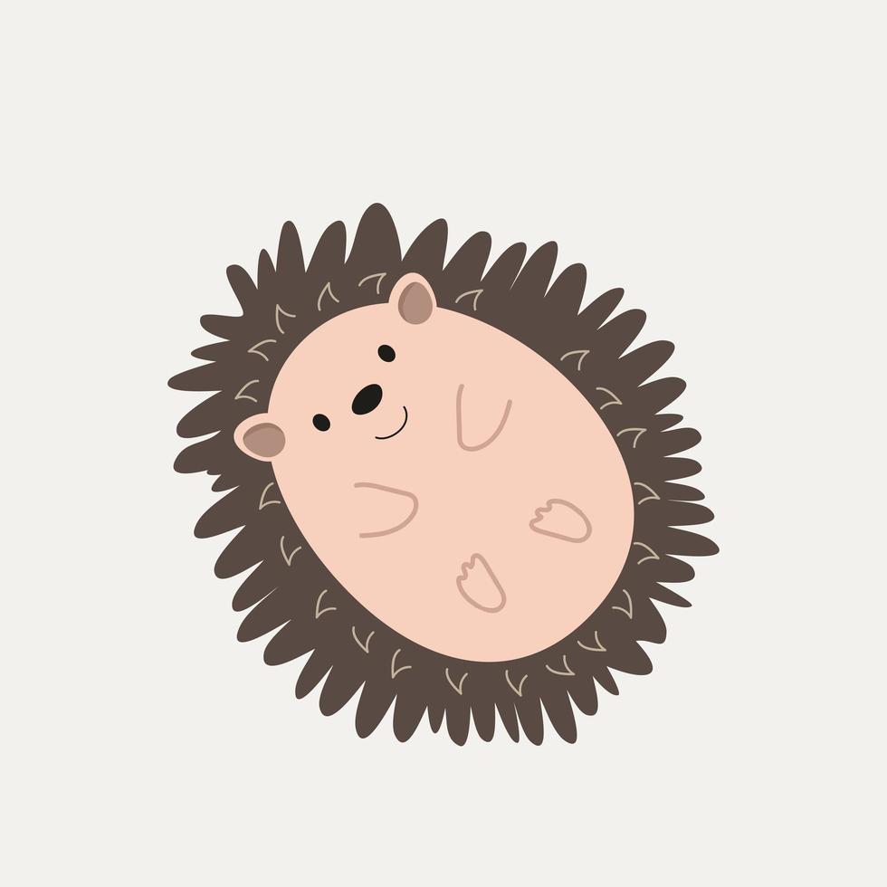 cute hedgehog mammal top view vector