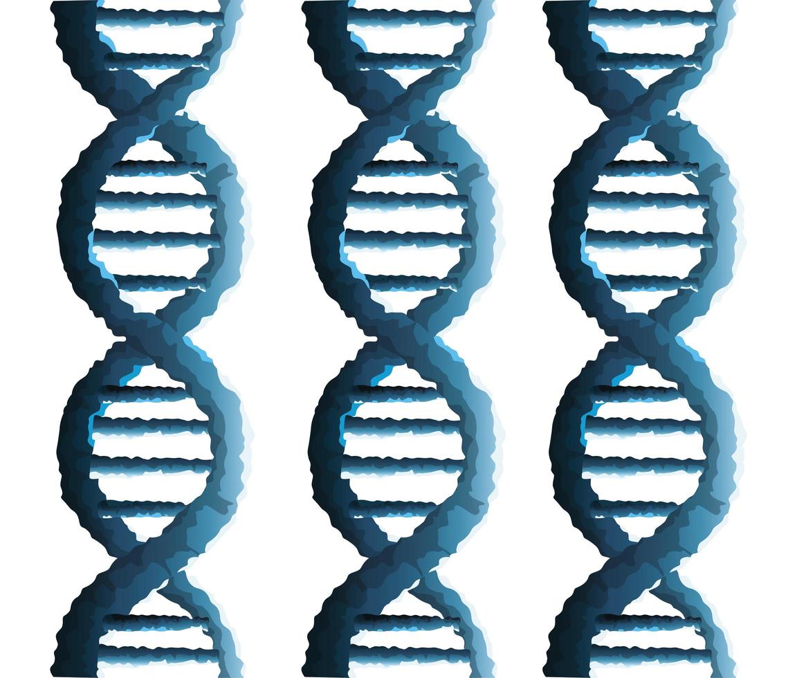 dna molecules genetic structure icon vector