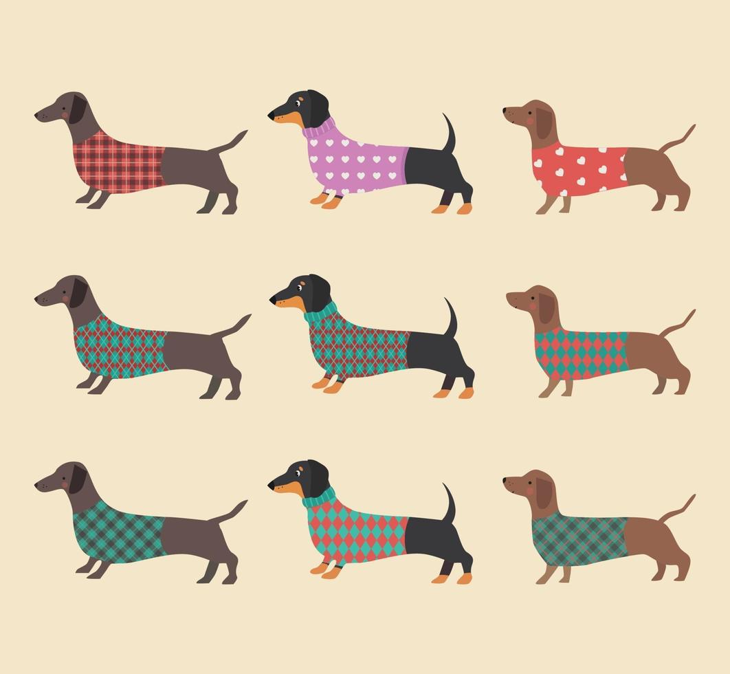 Set of Dachshunds wearing clothes. Vector illustration.