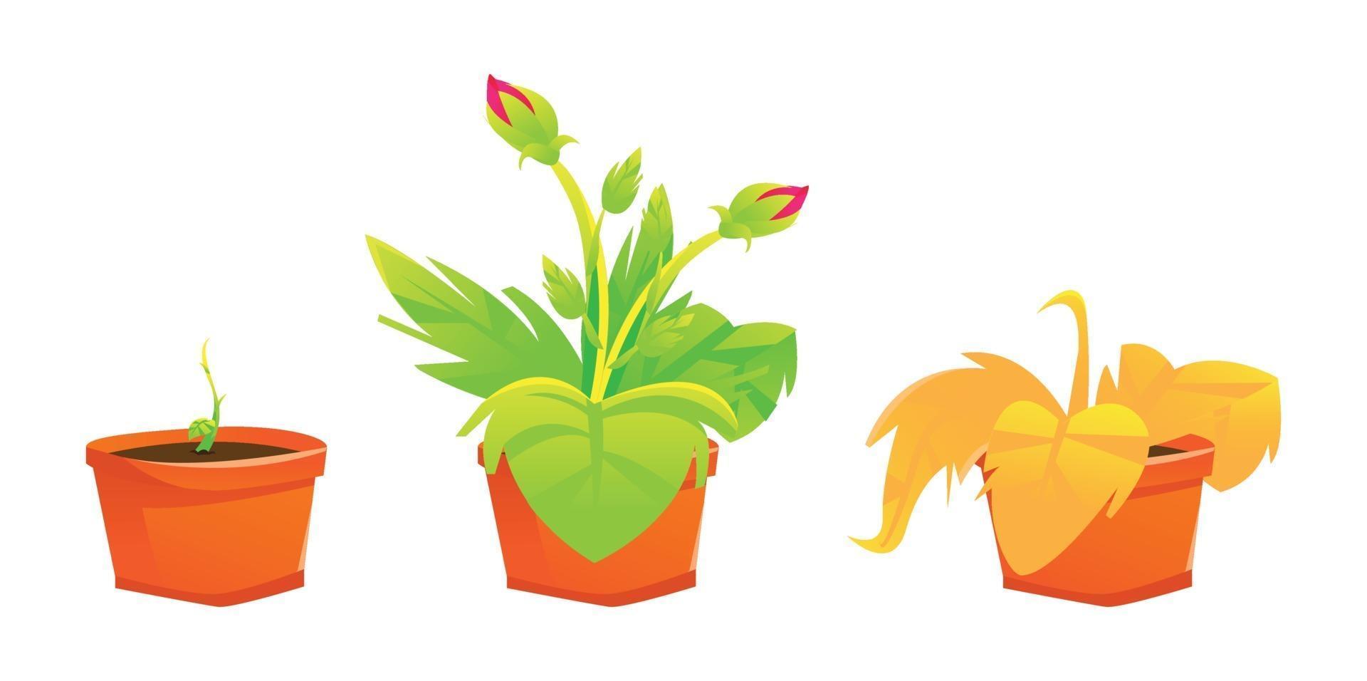 conjunto de ilustración de planta colorida vector