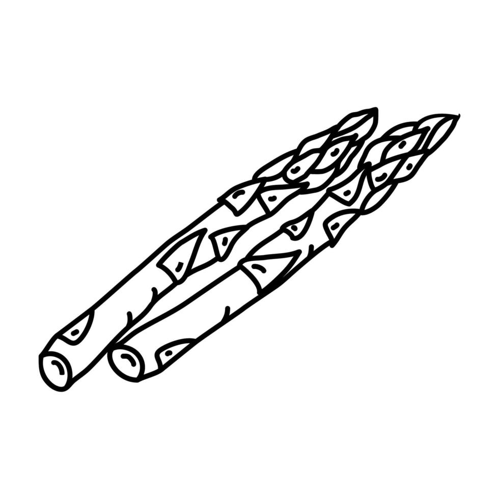 icono de espárragos. Doodle dibujado a mano o estilo de icono de contorno vector