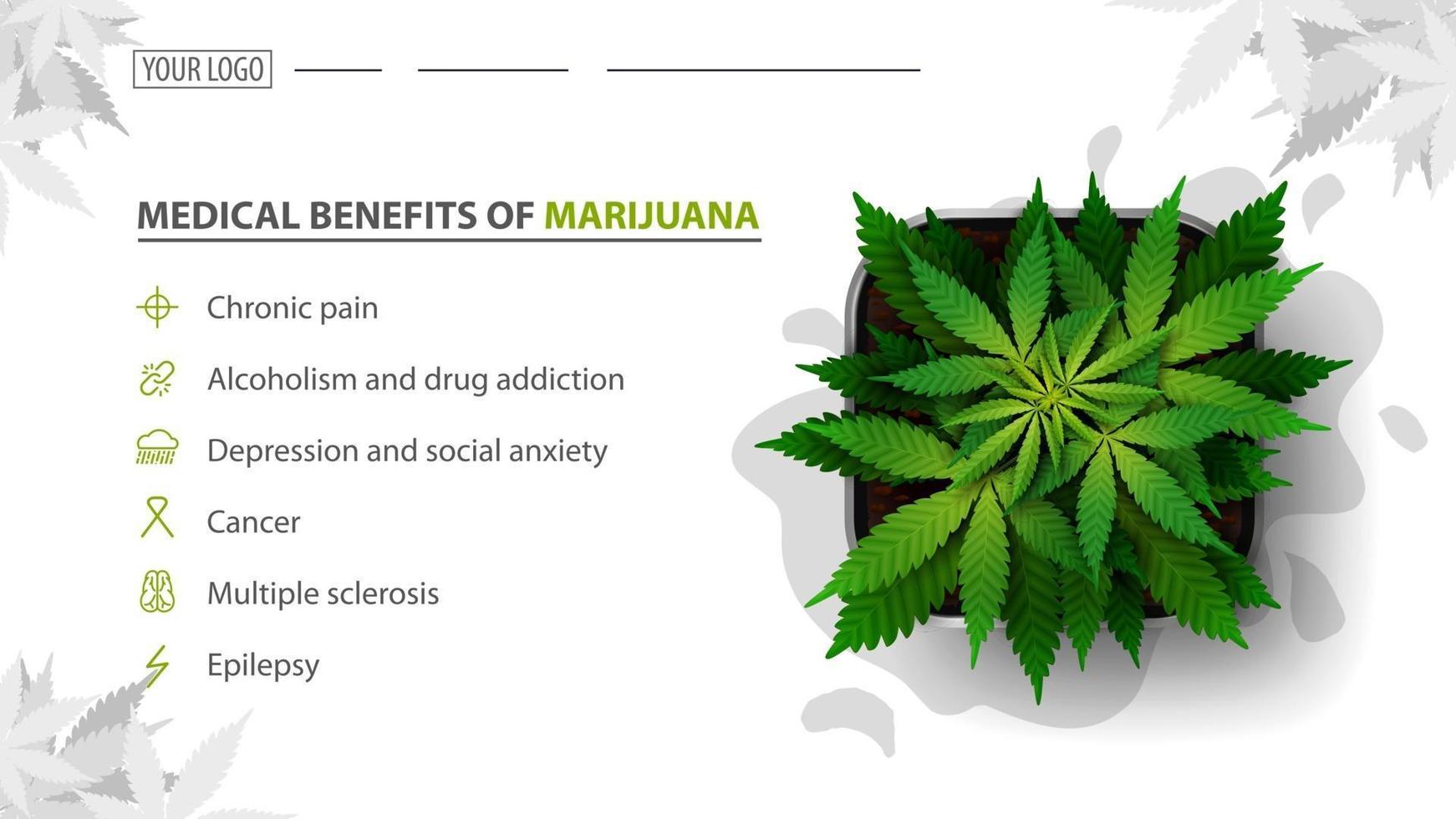 Medical benefits of marijuana, white banner for website with bush of cannabis in a pot, top view. vector