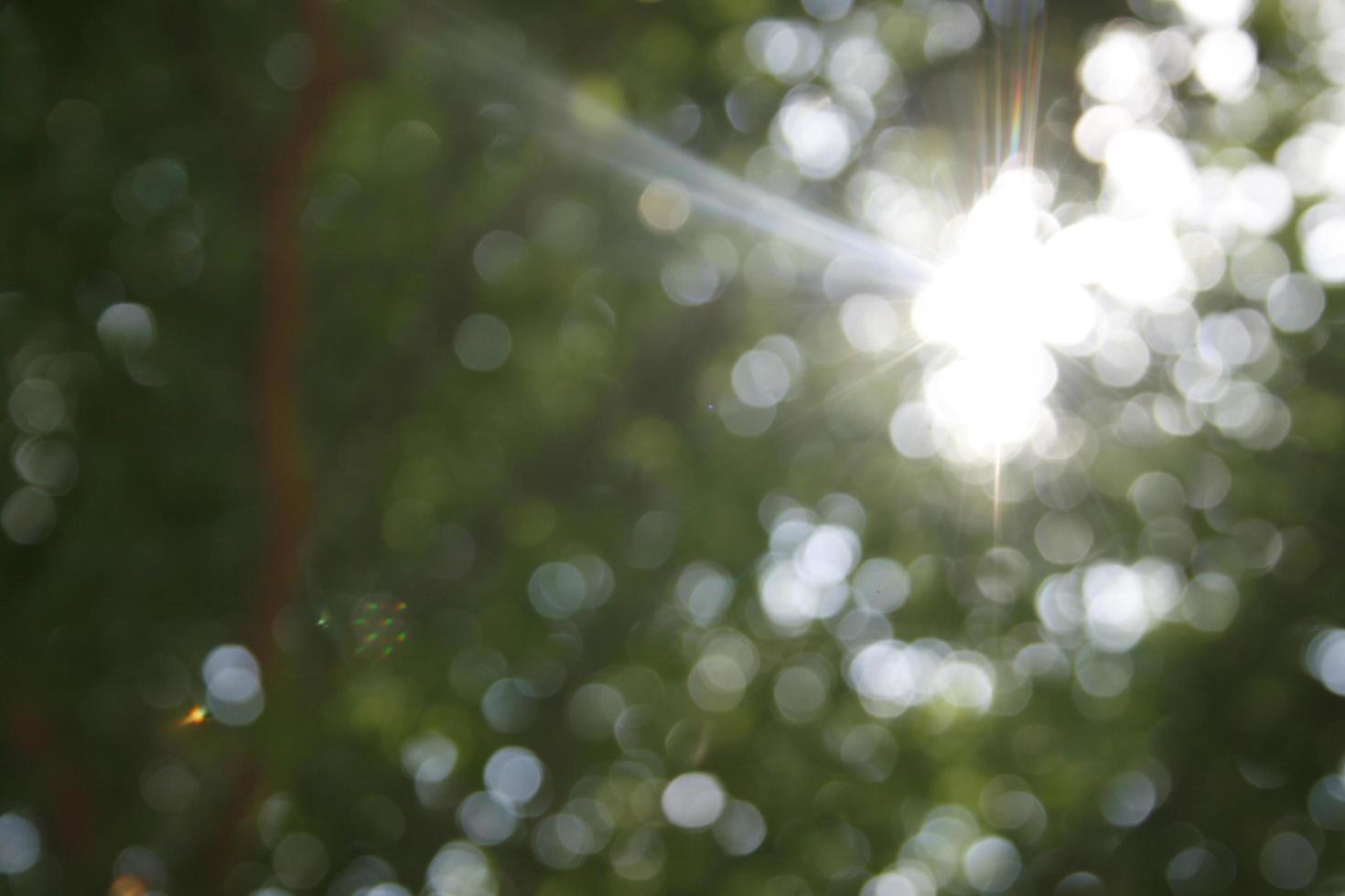 Green bokeh leaf background photo