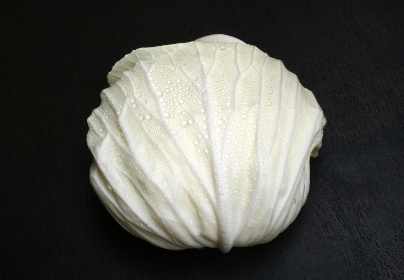 White cabbage on a black background photo