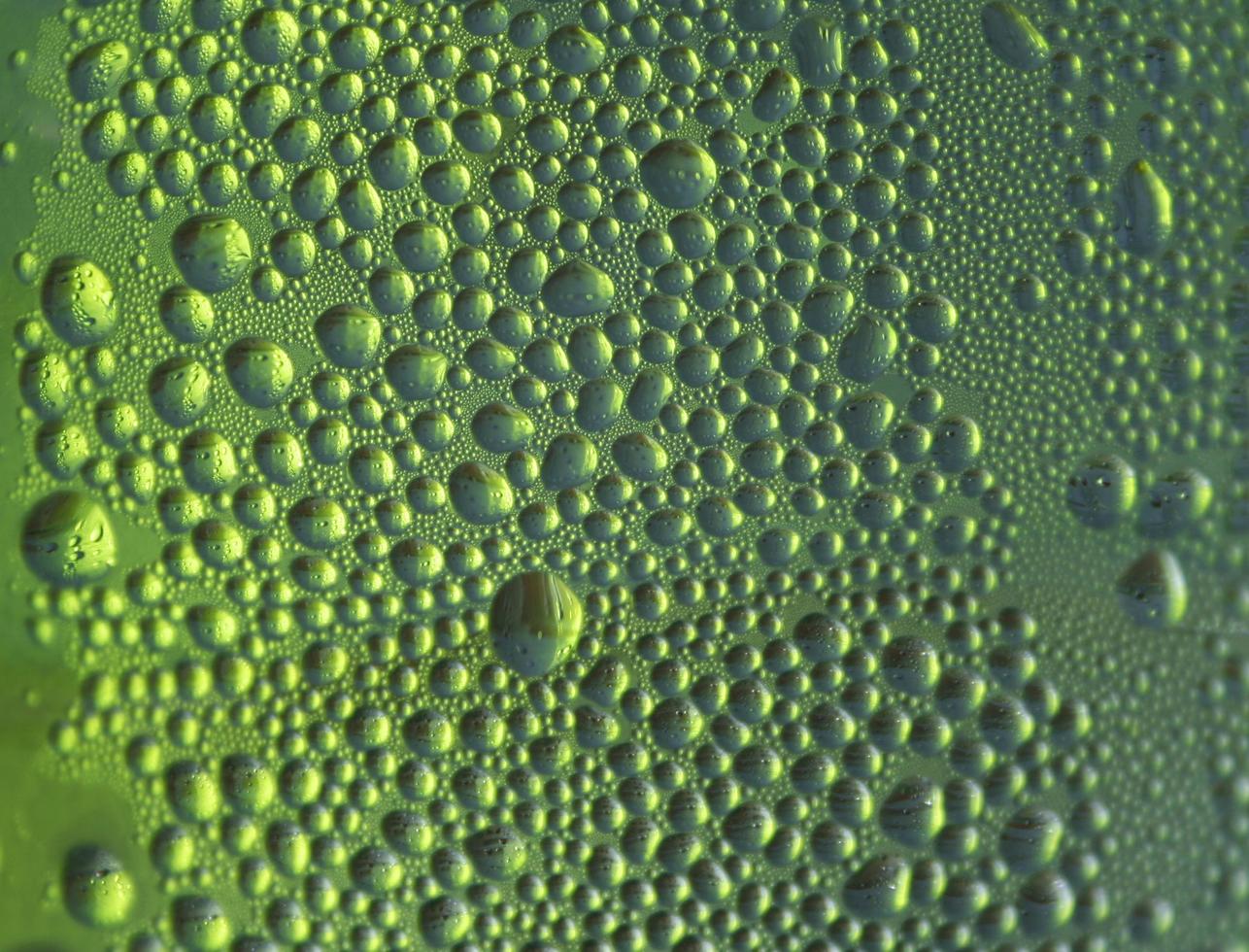 Water drops on green photo