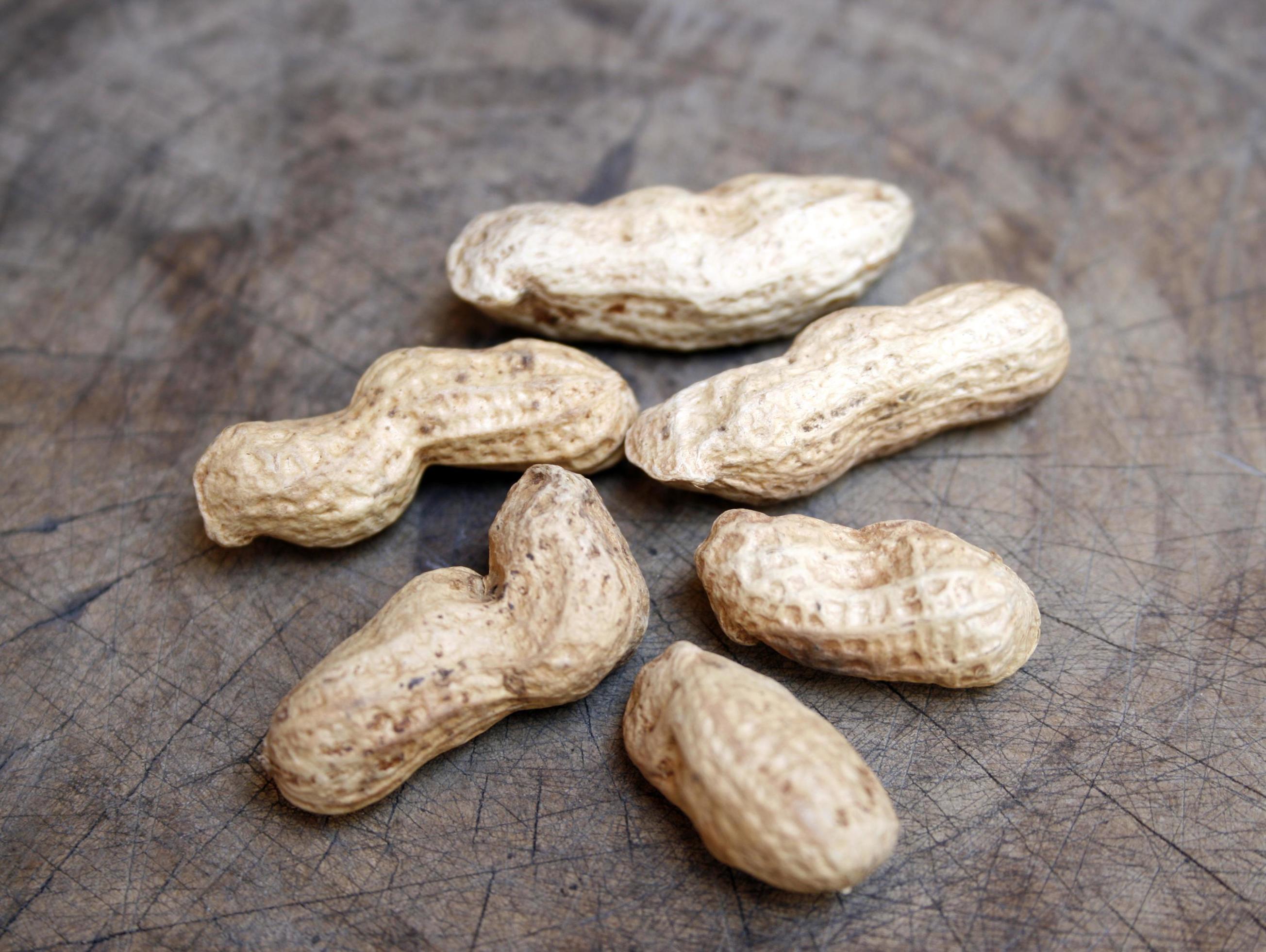 You'Ll Never Guess What Chickens Do With Peanut Shells! - tpqp369
