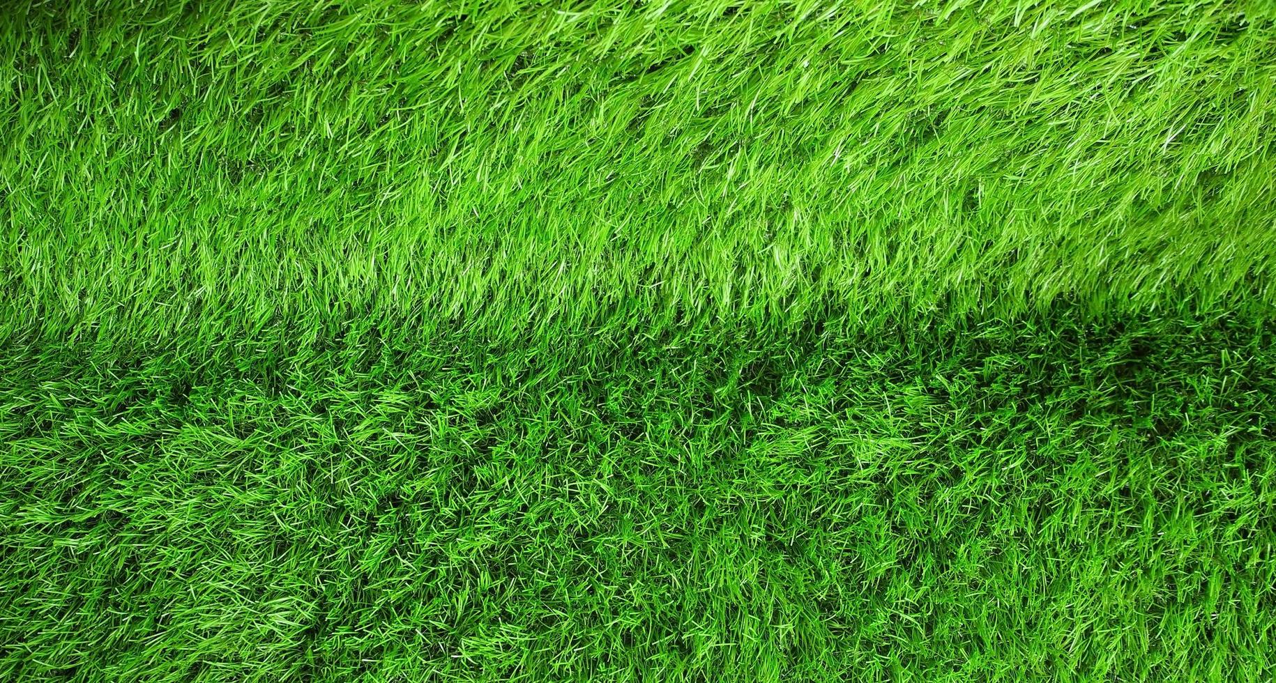 Lush green grass photo
