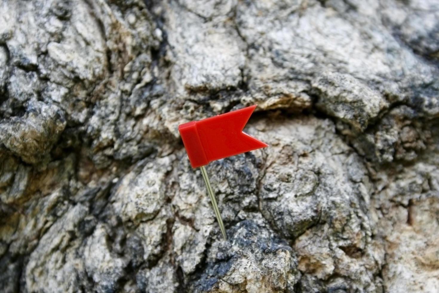 Flag on rock photo