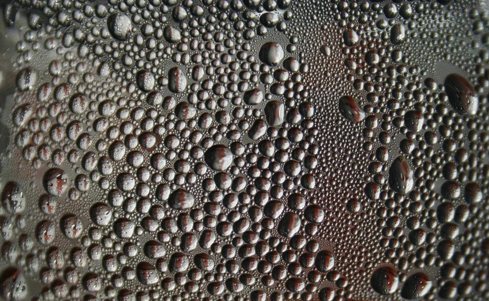 Bunch of water droplets photo