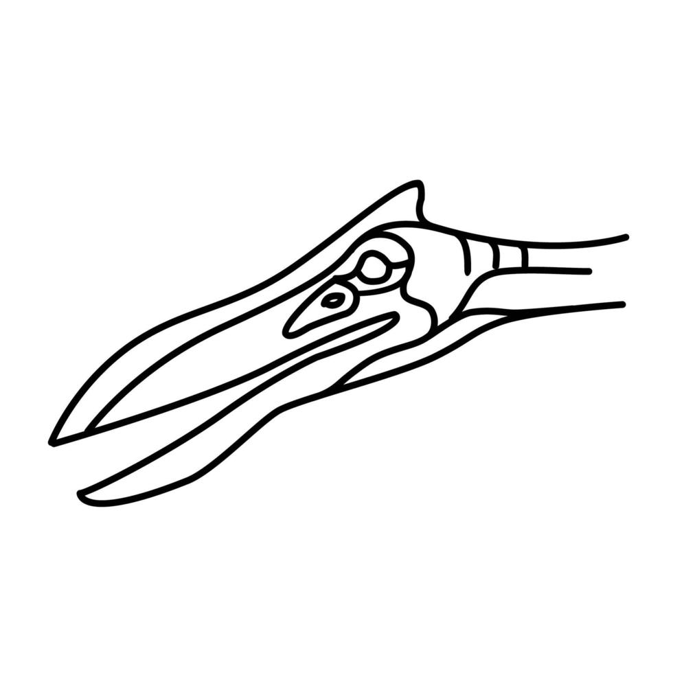 Pterosaur Icon. Doodle Hand Drawn or Black Outline Icon Style vector