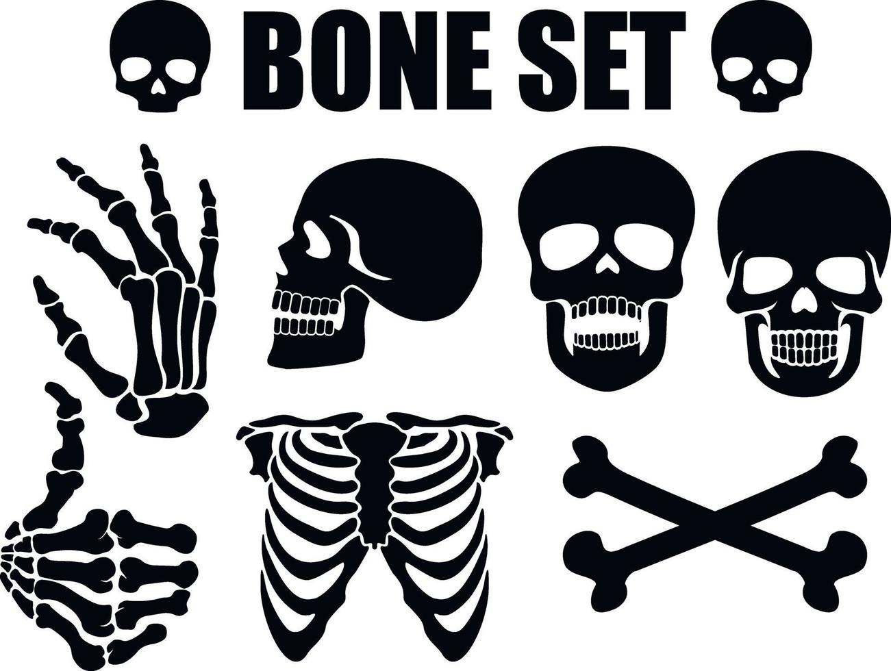 stencil set with bones vector