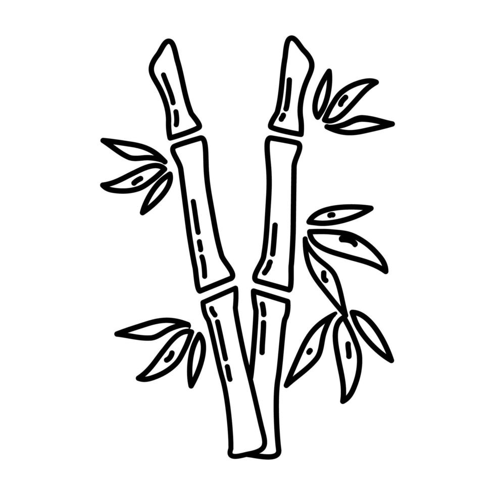 icono tropical de bambú. Doodle dibujado a mano o estilo de icono de contorno vector