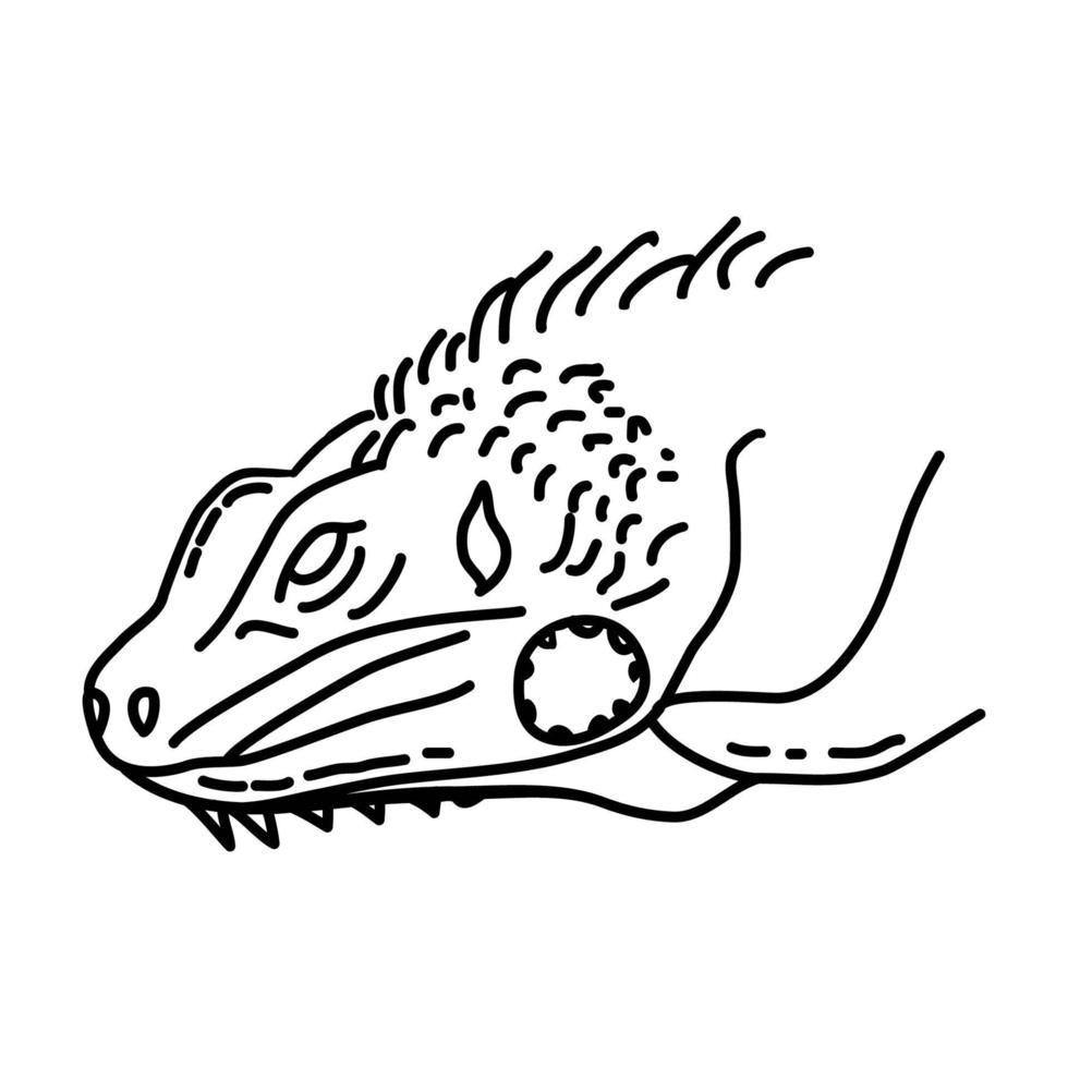 icono de iguana. Doodle dibujado a mano o estilo de icono de contorno vector