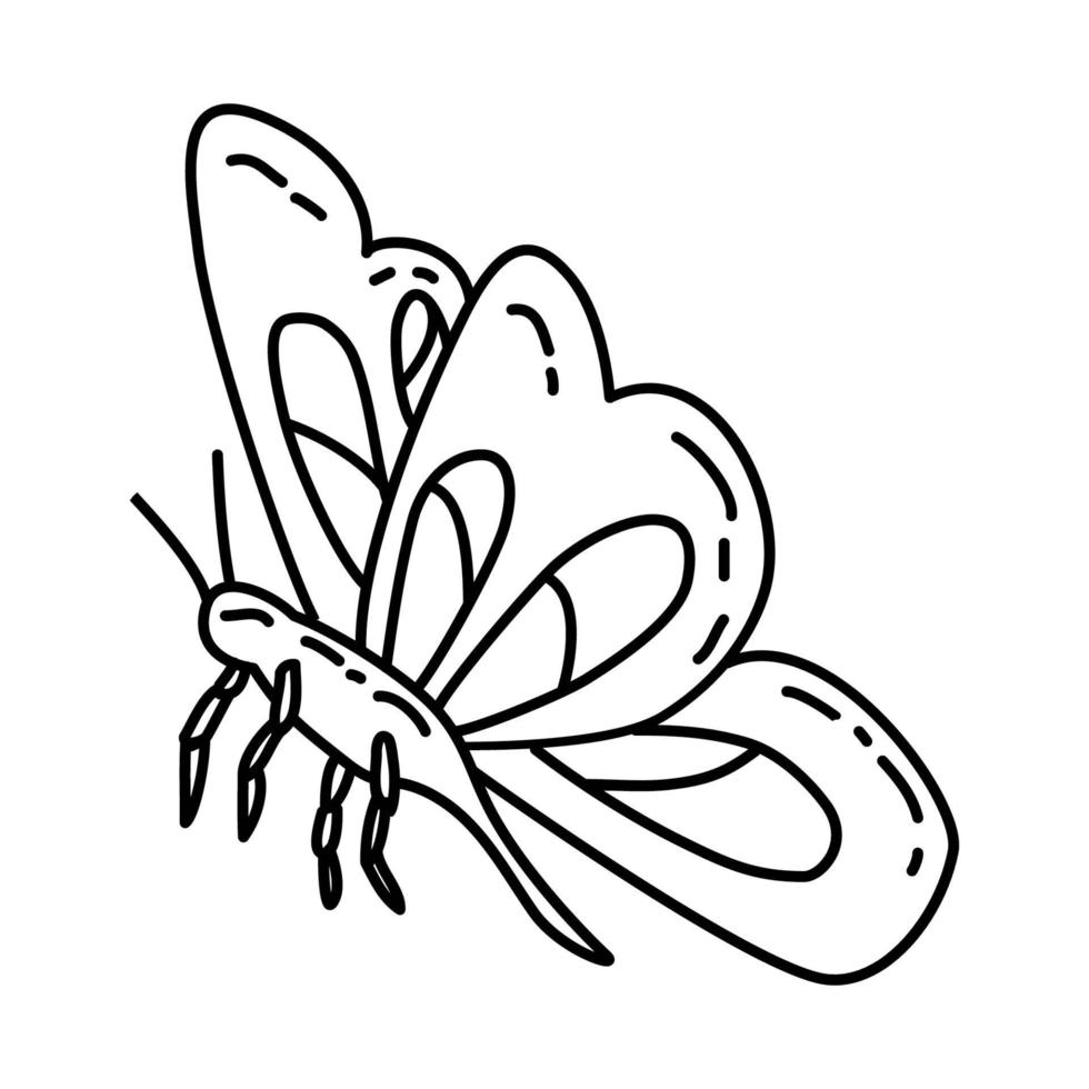 icono de mariposa tropical. Doodle dibujado a mano o estilo de icono de contorno vector